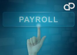 ITIS Payroll